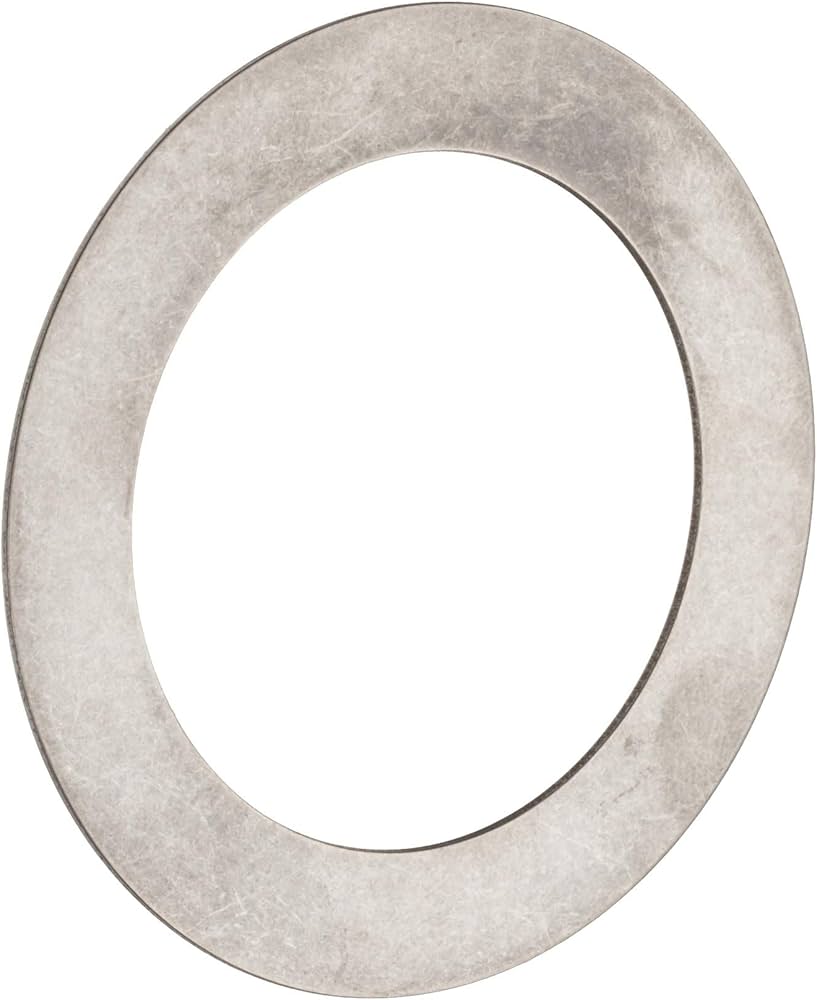 LS75100 INA (Schaeffler) 75x100x5.75mm Bearing Washer