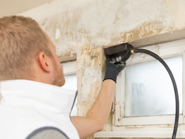 WAG2418214 SteamForce Speed Pro