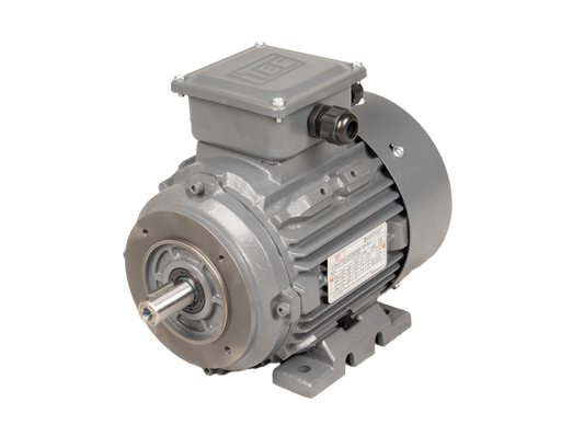 TEC-Three-Phase-Cast-Iron-Electric-Motor-0.75kw-4-Pole-B34-IE2