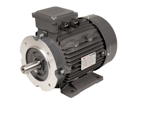 TEC-Three-Phase-Electric-Motor-0.75kw-6-Pole-Large-Face-and-Foot-Mounted-B34B-IE3