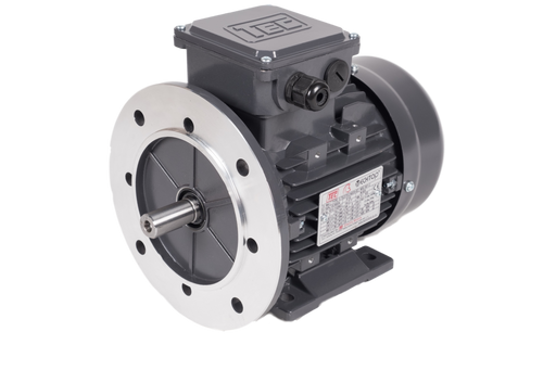 TEC-Three-Phase-Aluminium-Electric-Motor-0.75kw-2-Pole-Foot-and-Reduced-Flange-Mounted-B35R-IE2